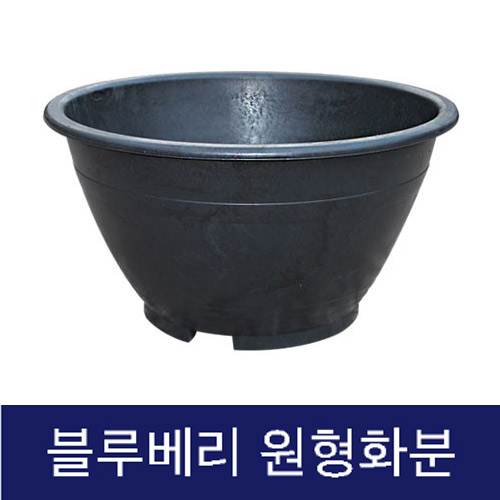 고무다라 원형화분 (블루베리) 420Φ*H290