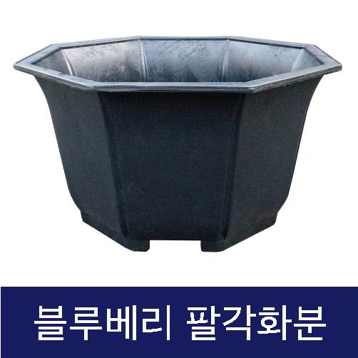 고무다라-팔각화분 (블루베리) (대) 710Φ*H400